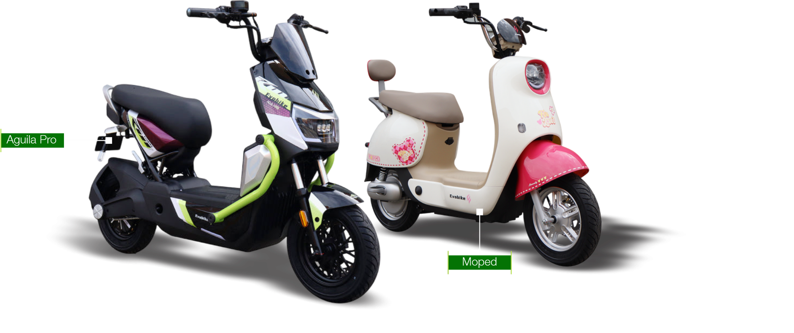 motos evobike